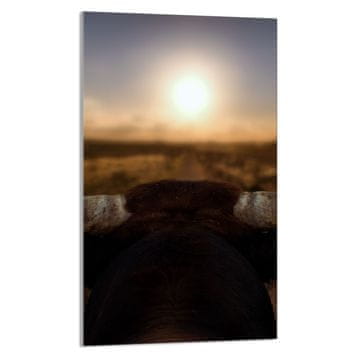 TMK STAKLENA DASKA ZA REZANJE 30x52 Sun