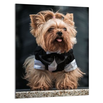 TMK STAKLENA DASKA ZA REZANJE 40x52 Pas