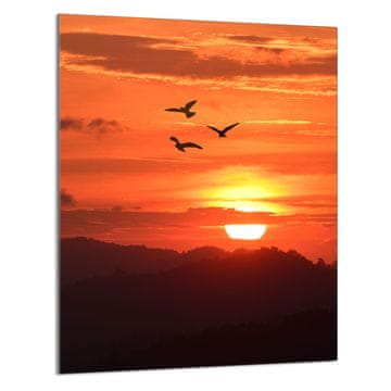 TMK STAKLENA DASKA ZA REZANJE 40x52 Sun