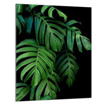 TMK STAKLENA DASKA ZA REZANJE 40x52 Monstera