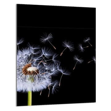 TMK STAKLENA DASKA ZA REZANJE 40x52 Cvijet