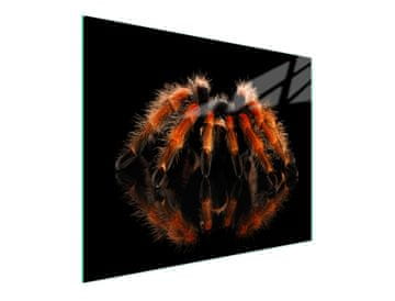 TMK STAKLENA DASKA ZA REZANJE 52x30 SPIDER