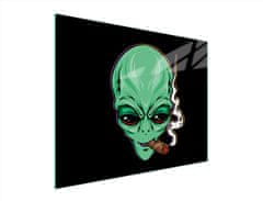 TMK STAKLENA DASKA ZA REZANJE 52x40 UFO