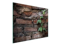 TMK STAKLENA DASKA ZA REZANJE 52x30 CIGLENA