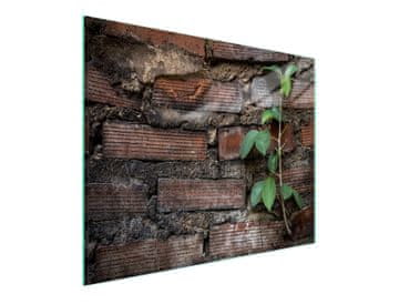 TMK STAKLENA DASKA ZA REZANJE 52x30 CIGLENA