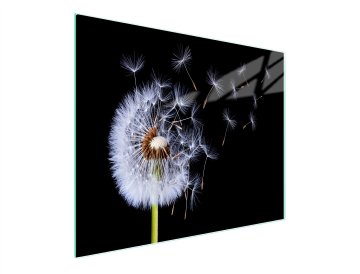 TMK STAKLENA DASKA ZA REZANJE 52x30 CVIJET