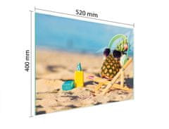 TMK STAKLENA DASKA ZA REZANJE 52x40 ANANAS