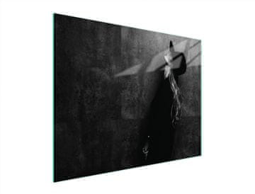 TMK STAKLENA DASKA ZA REZANJE 52x40 ŽENSKA