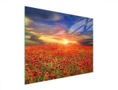 TMK STAKLENA DASKA ZA REZANJE 52x40 MAKI