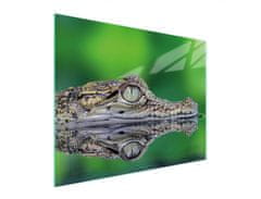 TMK STAKLENA DASKA ZA REZANJE 52x40 KROKODILA