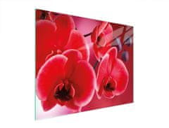 TMK STAKLENA DASKA ZA REZANJE 52x40 ORHIDEJA