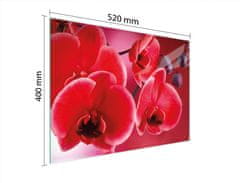 TMK STAKLENA DASKA ZA REZANJE 52x40 ORHIDEJA