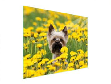 TMK STAKLENA DASKA ZA REZANJE 52x40 PAS