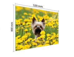 TMK STAKLENA DASKA ZA REZANJE 52x40 PAS