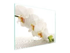 TMK STAKLENA DASKA ZA REZANJE 52x40 ORHIDEJA