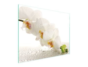 TMK STAKLENA DASKA ZA REZANJE 52x40 ORHIDEJA