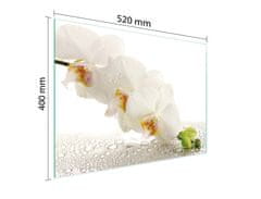 TMK STAKLENA DASKA ZA REZANJE 52x40 ORHIDEJA