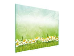 TMK STAKLENA DASKA ZA REZANJE 52x40 DAISY