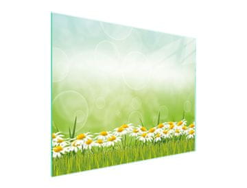 TMK STAKLENA DASKA ZA REZANJE 52x40 DAISY