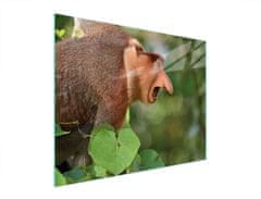 TMK STAKLENA DASKA ZA REZANJE 52x40 NOSACZ