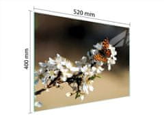 TMK STAKLENA DASKA ZA REZANJE 52x40 ŠLJIVA