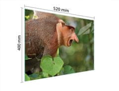 TMK STAKLENA DASKA ZA REZANJE 52x40 NOSACZ