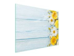 TMK STAKLENA DASKA ZA REZANJE 52x40 KAMILICA