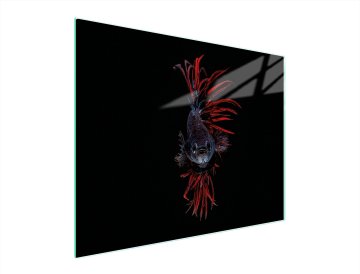 TMK STAKLENA DASKA ZA REZANJE 52x40 RIBA