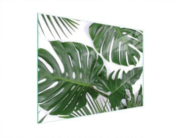 TMK STAKLENA DASKA ZA REZANJE 40x30 MONSTERA