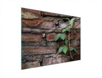 TMK STAKLENA DASKA ZA REZANJE 40x30 CIGLENA