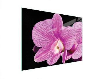 TMK STAKLENA DASKA ZA REZANJE 40x30 ORHIDEJA