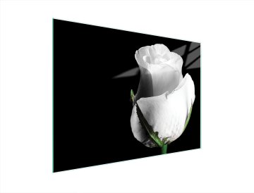 TMK STAKLENA DASKA ZA REZANJE 40x30 RUŽA