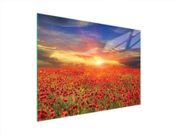 TMK STAKLENA DASKA ZA REZANJE 40x30 MAKI