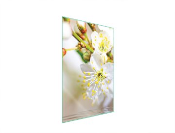 TMK STAKLENA DASKA ZA REZANJE 35x52 ŠLJIVA