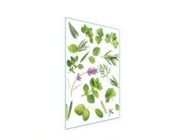 TMK STAKLENA DASKA ZA REZANJE 35x52 BILJKE