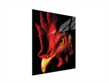 TMK STAKLENA DASKA ZA REZANJE 45x52 PIJETAO