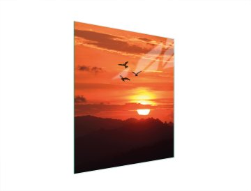 TMK STAKLENA DASKA ZA REZANJE 45x52 SUN