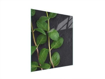 TMK STAKLENA DASKA ZA REZANJE 45x52 MENTA