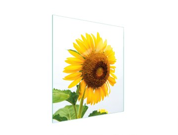 TMK STAKLENA DASKA ZA REZANJE 45x52 CVIJET