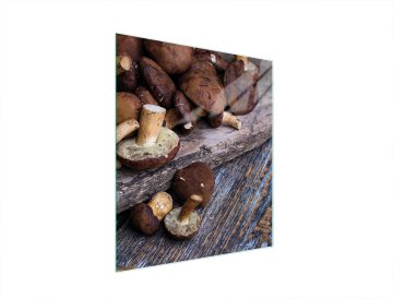 TMK STAKLENA DASKA ZA REZANJE 45x52 GLJIVE