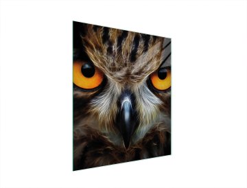 TMK STAKLENA DASKA ZA REZANJE 45x52 OWL