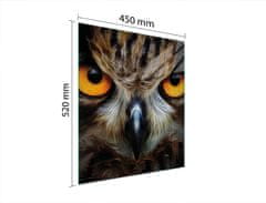 TMK STAKLENA DASKA ZA REZANJE 45x52 OWL