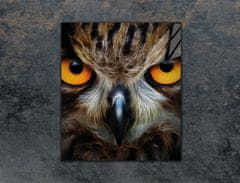 TMK STAKLENA DASKA ZA REZANJE 45x52 OWL