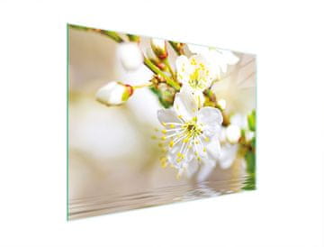 TMK STAKLENA DASKA ZA REZANJE 30x22 ŠLJIVA