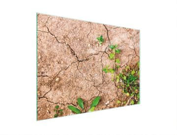 TMK STAKLENA DASKA ZA REZANJE 30x22 BILJKE