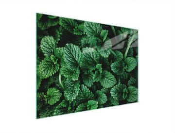 TMK STAKLENA DASKA ZA REZANJE 30x22 MELISA