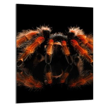 TMK STAKLENA DASKA ZA REZANJE 40x52 Spider