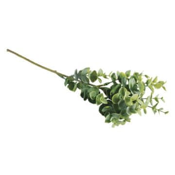 Rayher.	 Grančica napuhana, 40cm