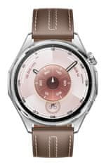 Huawei Pametni sat Watch GT 6 46mm Classic Brown