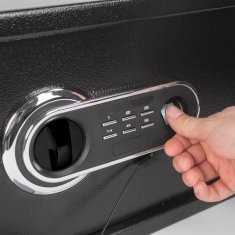 Delight Digital 55583 sef za namještaj s čitačem otiska prsta i nizom gumba - 352x250x250 mm